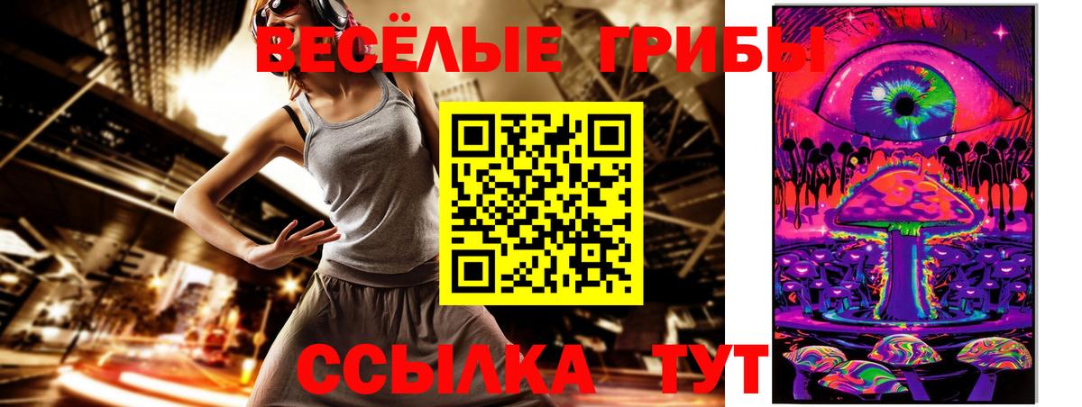 Галлюциногенные грибы Psilocybine cubensis Дивногорск