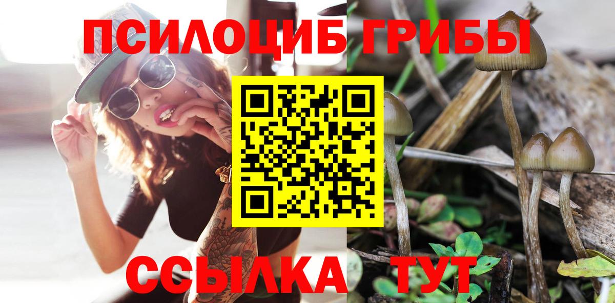 Дивногорск  Галлюциногенные грибы Cubensis  купить наркоту  Вход с VPN  Галлюциногенные грибы Cubensis 
